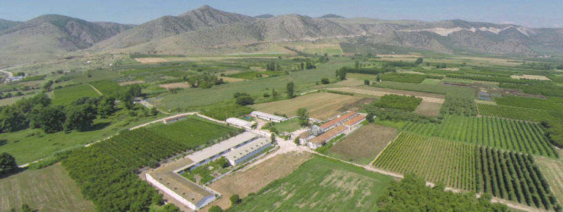 σεϊτης λάρισα