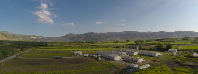 σεϊτης λάρισα