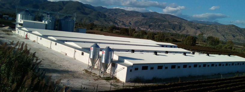 σεϊτης λάρισα